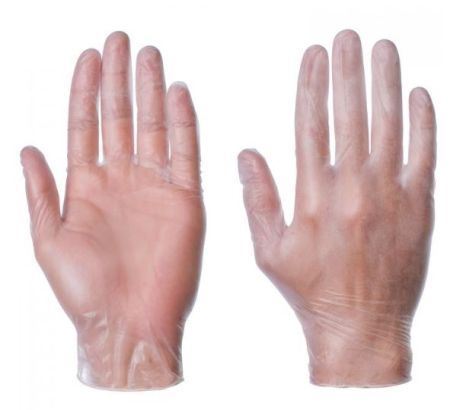 Picture of Clear Vinyl Disposable PF Glove LGE x100     58286